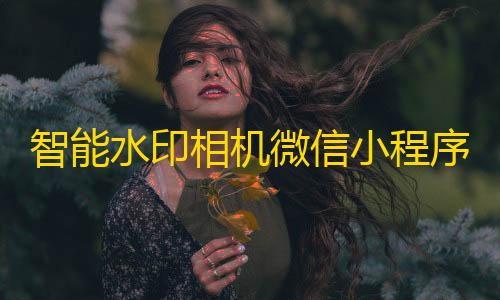 暗区物资透视挂合法吗智能水印相机微信小程序源码